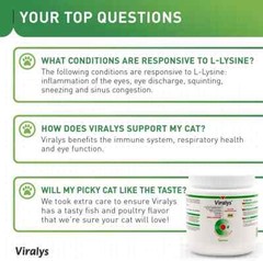 Vetoquinol Viralys L-Lysine Supplement for Cats, 3.5Oz/100G (Exp: 09/2025) NEW