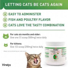 Vetoquinol Viralys L-Lysine Supplement for Cats, 3.5Oz/100G (Exp: 09/2025) NEW