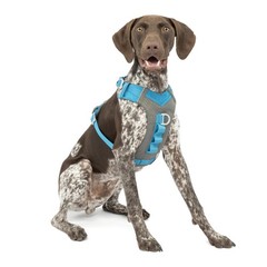 Kurgo Journey Air Dog Harness – Padded & Secure Fit – Active Dogs – Blue – M