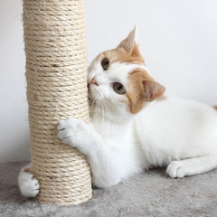 Cat Tower 3 Tier 2 Napping Perches Cat Condo 2 Sisal Rope Scratching Posts