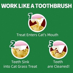 Cat Grass Treats With Natural Salmon & Catnip For Hairball & Dental Care-13.4oz