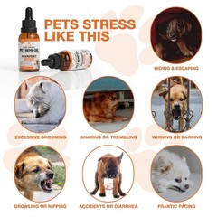 ziehooGe Неmp Oil for Dogs Cats (2-Pack), Organic Dog Anxiеty Relief & 2-Pack