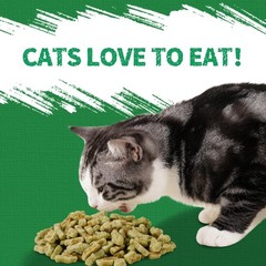 13.4 OZ Cat Grass Treats for Indoor Cats Natural Salmon Kitten Treats Healthy…
