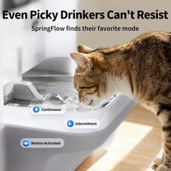 PETKIT Smart Pet Water Fountain with Camera for Cats Dogs