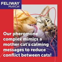 Vet Recommended MultiCat Calming Pheromone Diffuser – 30 Days of Peace