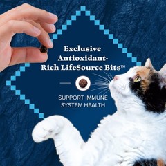 Blue Buffalo Wilderness Natural Mature Dry Cat Food for Cats 7+ Years,