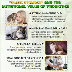 Cat Constipation Relief, Constipation Relief for Cat, Cat Laxative Constipation
