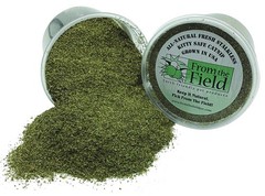 from The Field | Fine Ground Stalkless Catnip | Premium 3.5 Oz/Medium, Green