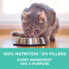 Purina ONE +Plus Sensitive Skin and Stomach Formula Natural Dry Cat Food, 16 lbs
