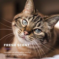 Wet Ones for Cats Freshening Wipes, Multi-Purpose Cat 50 Count (Pack of 1)