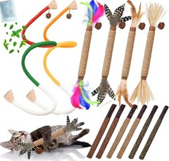 Interactive 12PCS Catnip Chew Toys for Indoor Cats – Dental Health Included