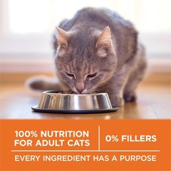 Purina ONE High Protein, Healthy Plus Ideal With 7 Pound (Pack of 1), Brown