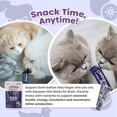 Choolip Squeeze Vita Stick Brain Support Lickable Cat 3.7 Ounce (Pack of 1)