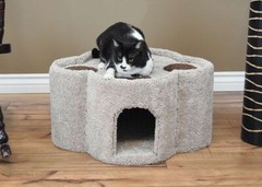 PREMIER PAW PRINT CONDO – FREE SHIPPING IN THE UNITED STATES