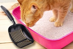 Pets First Cat Litter Scooper – Ergonomic & Easy Grip Design Deep Cleaning wi…