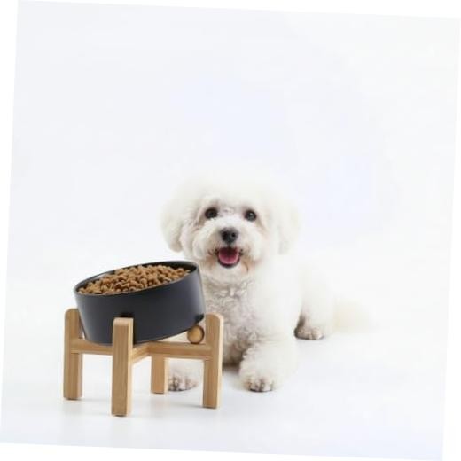 Raised/Elevated 15°Slanted 1.7 CUPS – Puppy/Small Dogs & Cat Bowls Black