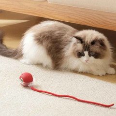 Automatic Rolling Ball Smart Cat Dog Toy Electric Pet Self-moving Kitten Game US