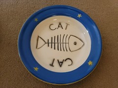 NEW Pair of Enameled Metal Cat Food – Water Dishes – Paris France Cote D’Ivoire