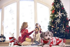 Vehomy Dog Christmas Sweaters Pet Winter Knitwear Xmas Clothes Medium Large