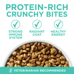 Purina ONE +Plus Sensitive Skin and Stomach Formula Natural Dry Cat Food, 16 lbs
