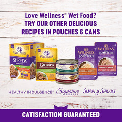 Wellness Healthy Indulgence Morsels Adult Wet Cat Food, Natural, Protein Rich, G