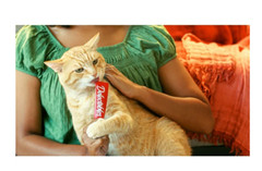 Hartz Delectables Squeeze Up Interactive Lickable Wet Cat, 0.5oz (72 Count)
