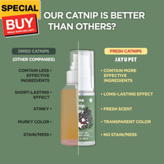 Active Catnip Spray – High Potency Transparent Liquid Spray made of Fresh Organi