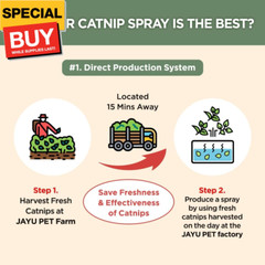 Active Catnip Spray – High Potency Transparent Liquid Spray made of Fresh Organi