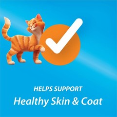 (2 pack) Purina Kit & Kaboodle Original, Indoor Dry Cat Food, Chicken, Liver