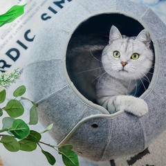 Indoor Cat Cave Cat Bed Toy Soft Felt Cat House Foldable Cat Tunnel Toy Ball
