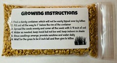 US Seller Cat Dog Grass Seeds – Premium Quality Organic,Non-GMO Wheatgrass Seeds