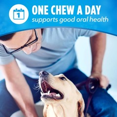 Purina DentaLife Daily Oral Care Dog Dental Chews for Small and Medium Breed Dog