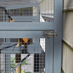 PawHut Catio Outdoor, Cat Window Catio for 2-3 Cats, for Playing Sunbathing
