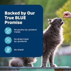Blue Buffalo Bursts Paw-Lickin’ Chicken Crunchy & Creamy 5 ounce (Pack of 1)