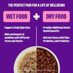 Wellness CORE Signature Selects Flaked Adult Canned Wet Cat Food, Natural, Prote