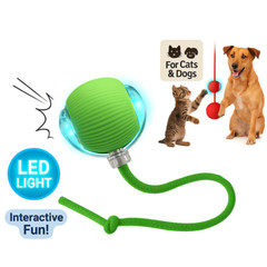 Automatic Rolling Ball Smart Cat Dog Toy Electric Pet Self-moving Kitten Game US