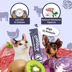Choolip Squeeze Vita Stick Brain Support Lickable Cat 3.7 Ounce (Pack of 1)