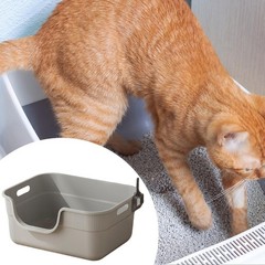 Cat Litter Box with Low Entry for Kitty and Senior Cats