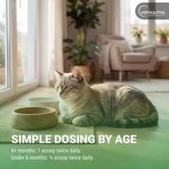 Vetoquinol Viralys – Lysine Supplement for Cats & 100 Grams, Premium pack
