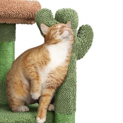 42″ Cactus Cat Tree Tower for Indoor Cats with Sisal Scratching Posts & Condo