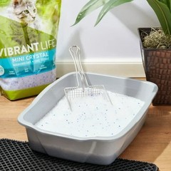 (4 pack) Vibrant Life Mini Crystal Cat Litter, Unscented, 8 lb Bag