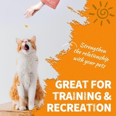 Just Try 13.4 OZ Pumpkin Cat Treats Cat Constipation Relief Hairball Control …