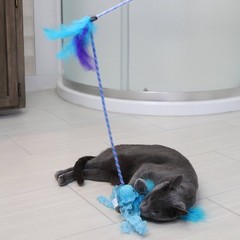Quirky Kitty Jiggling Jellyfish Wand Cat Toy – Blue