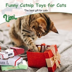 Nocciola 3 Pack Catnip Toys for Cats, Funny Cat Medium, Green Gentle Play