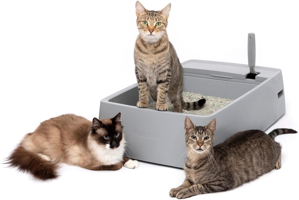 Multi-Cat Litter Box Extra Large Litter Box Cats Giant Ergonomically-Designed