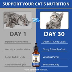 Taurine Supplement for Cats Liquid Drops – Supports Heart, Blue & White