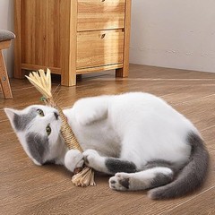 4~10pcs Silvervine Sticks for Cats ,Natural Catnip Sticks,Cats Chew Dental Treat