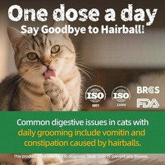 Cat Grass Treats With Natural Salmon & Catnip For Hairball & Dental Care-13.4oz