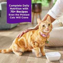 Wellness Complete Health Canned Wet Cat Food Natural, Protein-Rich Cat Food Gril