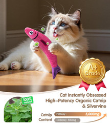 Cat Toys With[5000Mg A+Natural Catnip &Silvervine] [Baby Grade] Interactive Soft